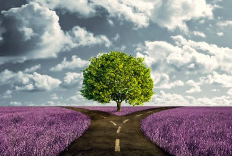 Prevedere il fallimento, fa vincere alla grande!