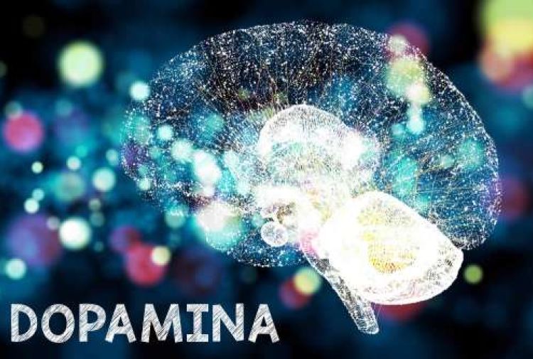Nuovo trend nella Silicon Valley:  il “digiuno da Dopamina”