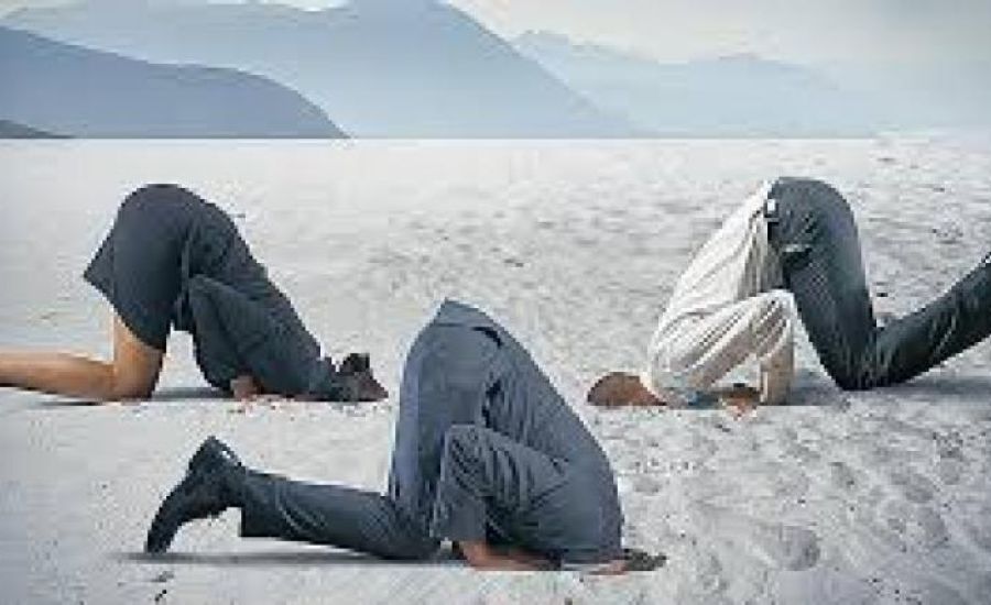 Brutta figura? Successo garantito!