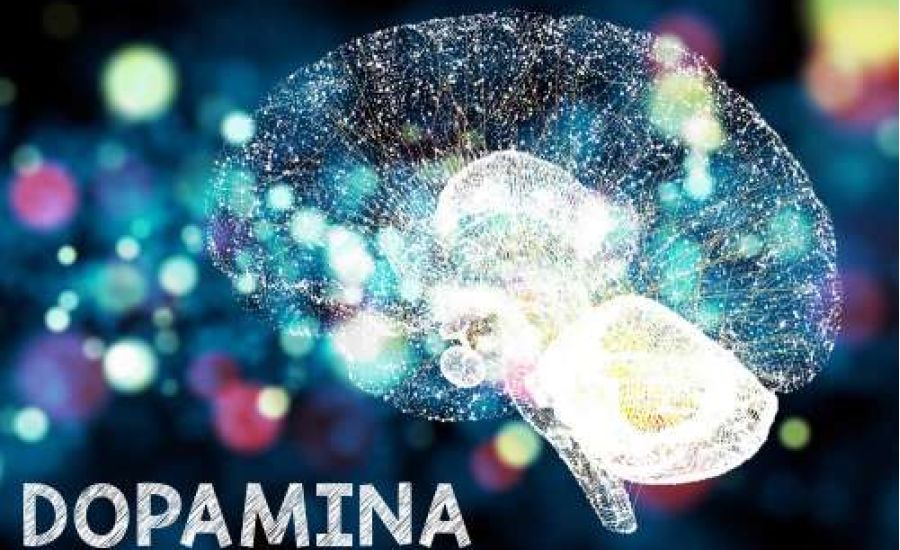 Nuovo trend nella Silicon Valley:  il “digiuno da Dopamina”