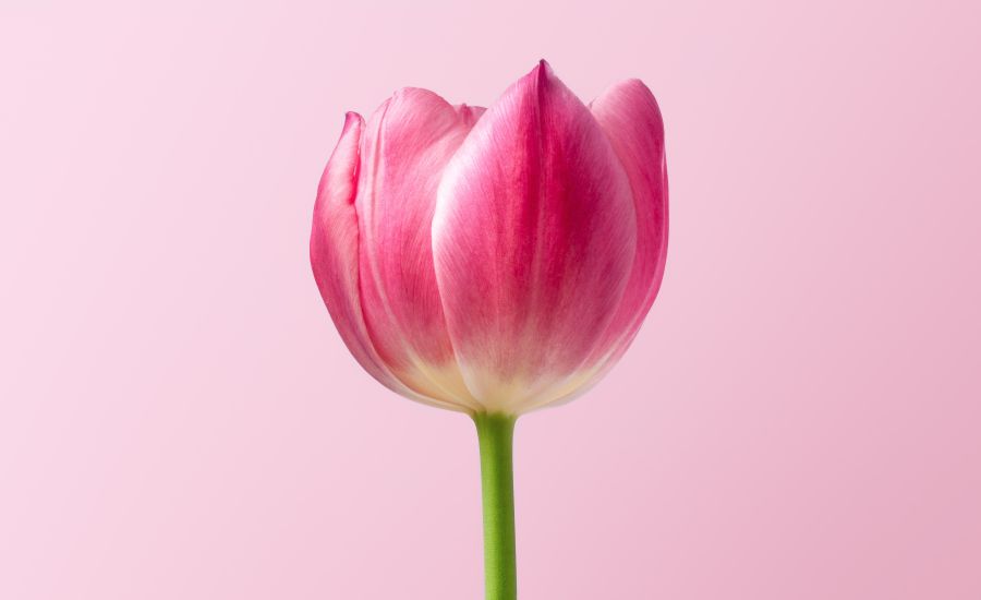 “Semplificare” per fare la differenza