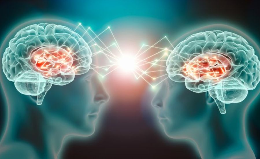 Le connessioni empatiche
