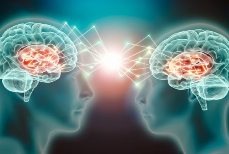 Le connessioni empatiche